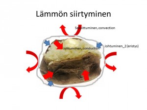 Slide3