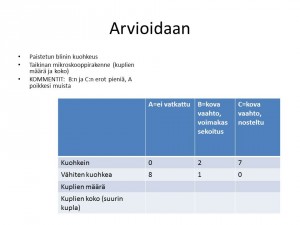 Slide12