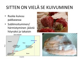 PAKASTETTU LIHA_sublimoituminen