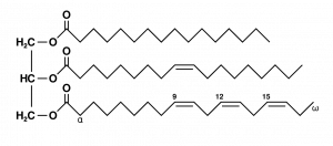 Fat_triglyceride_shorthand_formula
