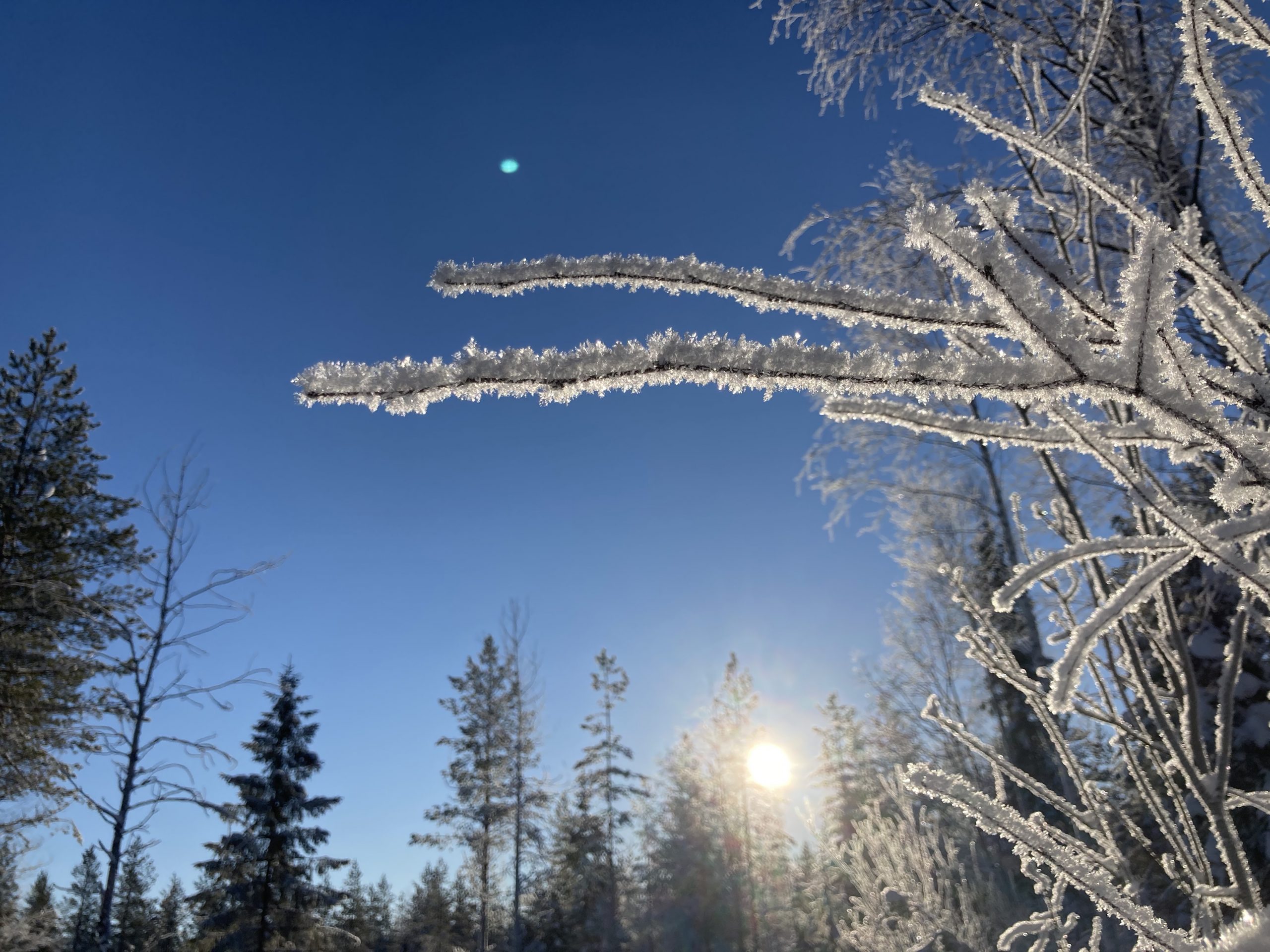 Mitä se suolan maku oikein on? |